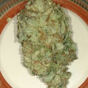 Jack Herer Cannabis Strain UK