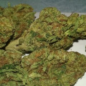 Skywalker Marijuana Strain UK