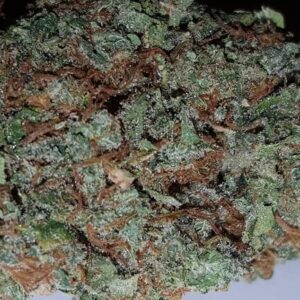 Pine OG Cannabis Strain UK