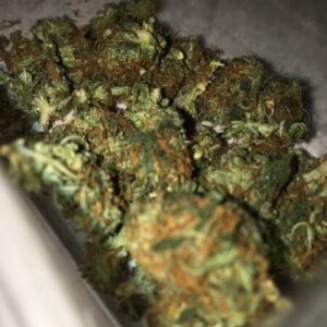 Orange Sherbet Cannabis Strain