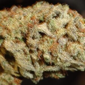 Pine Kush Marijuana Strain UK