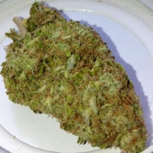 Blue Alien Bud Cannabis Strain