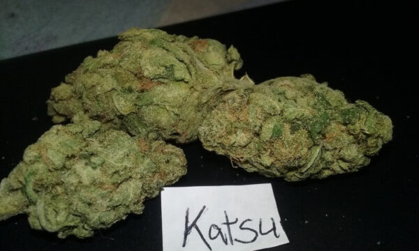 Katsu Cannabis Strain UK