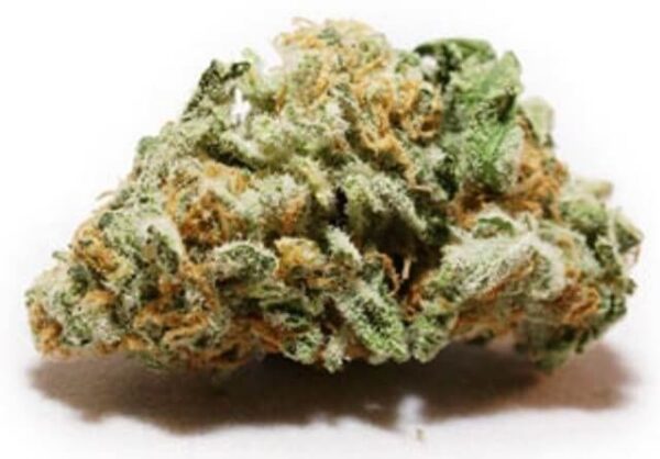 Magnum PI Cannabis Strain