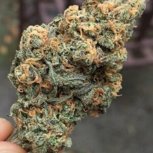 Tahoe Blue Dream Marijuana Strain