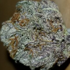 Purple Kush Marijuana Strain UK