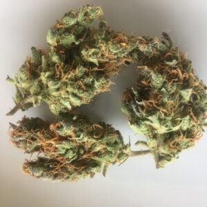 Alien OG Marijuana Strain UK